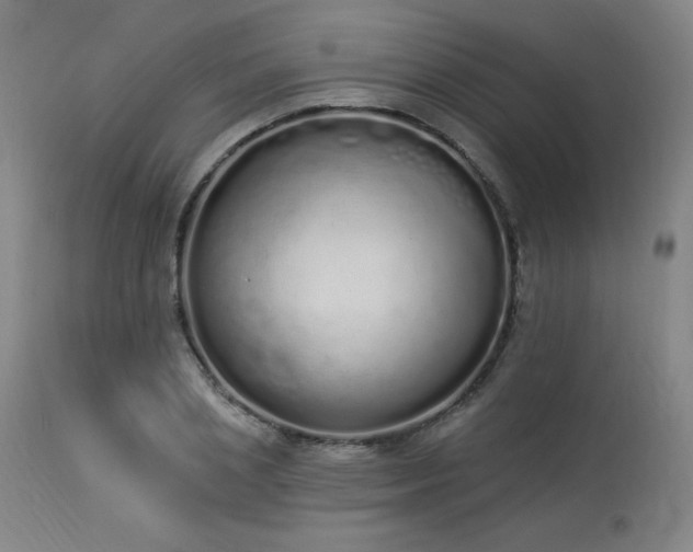 X0000114000837200910021314