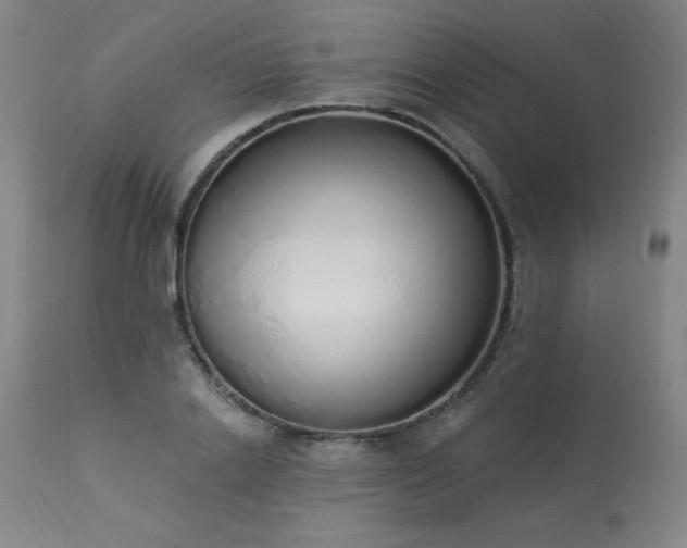 X0000114000838200910021314
