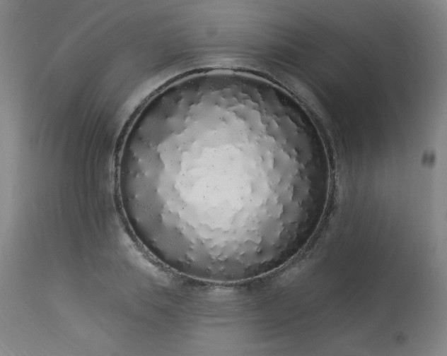 X0000114000839200910021314