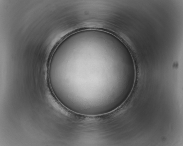 X0000114000840200910021314