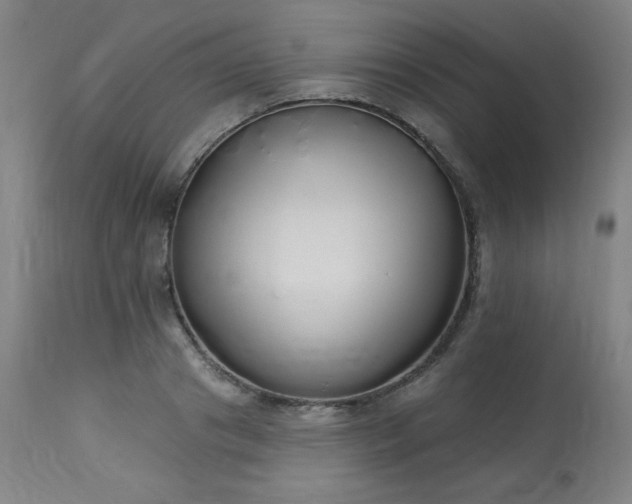 X0000114000841200910021314