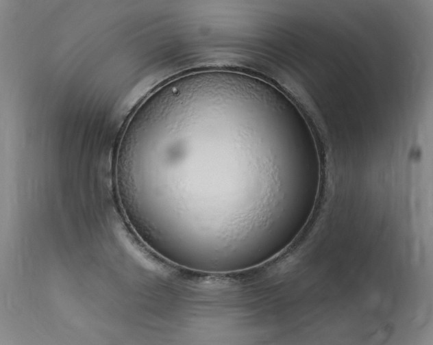 X0000114000842200910021314