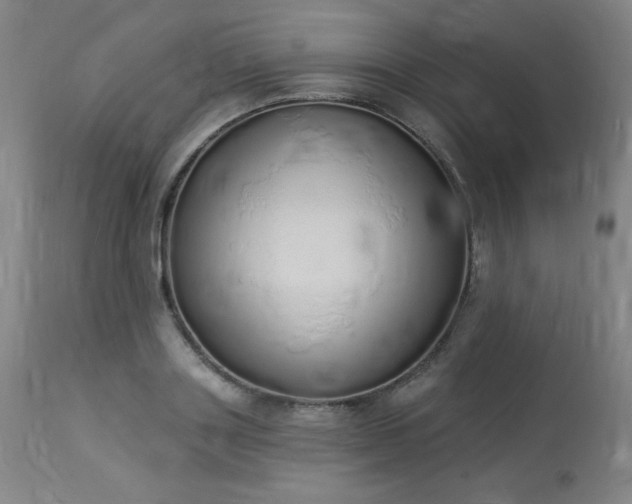 X0000114000843200910021314