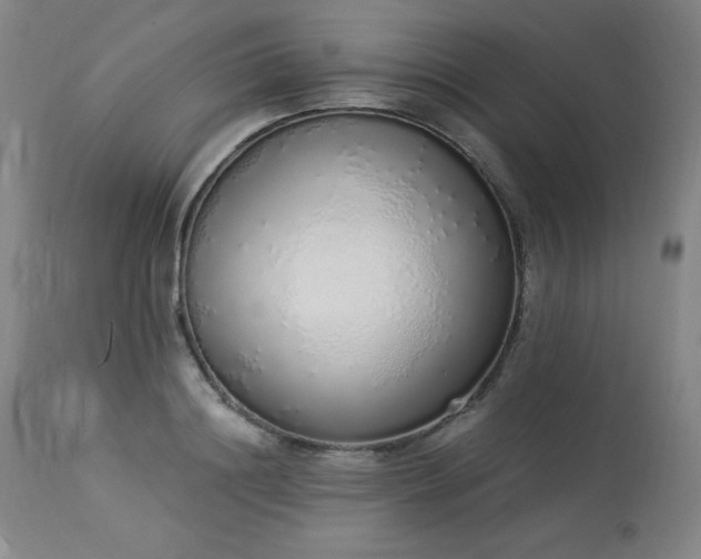 X0000114000844200910021314