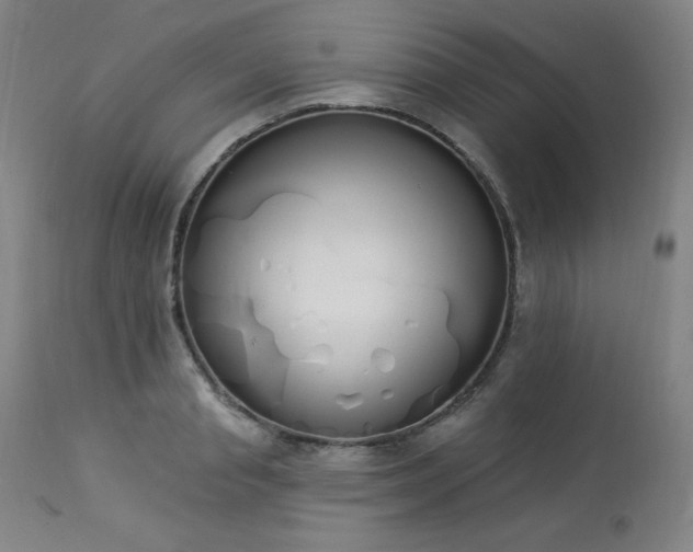 X0000114000845200910021314