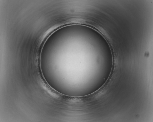 X0000114000846200910021314
