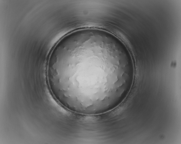 X0000114000847200910021314