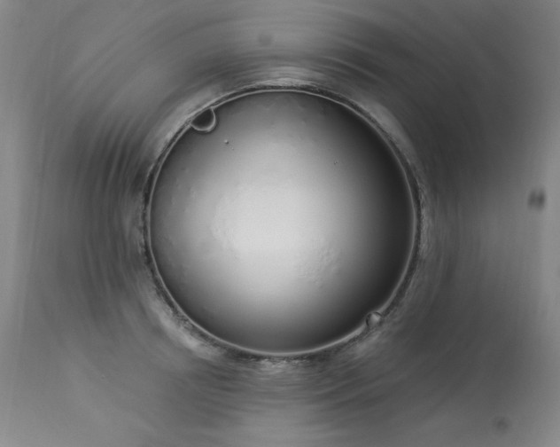 X0000114000850200910021314