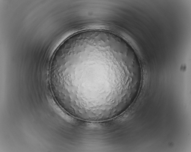 X0000114000852200910021314