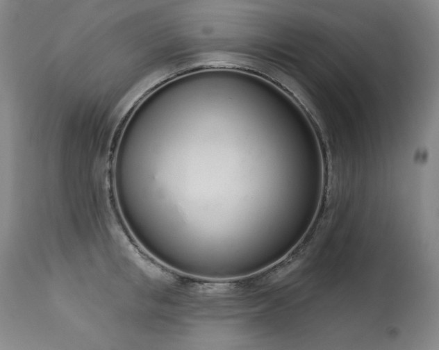 X0000114000853200910021314