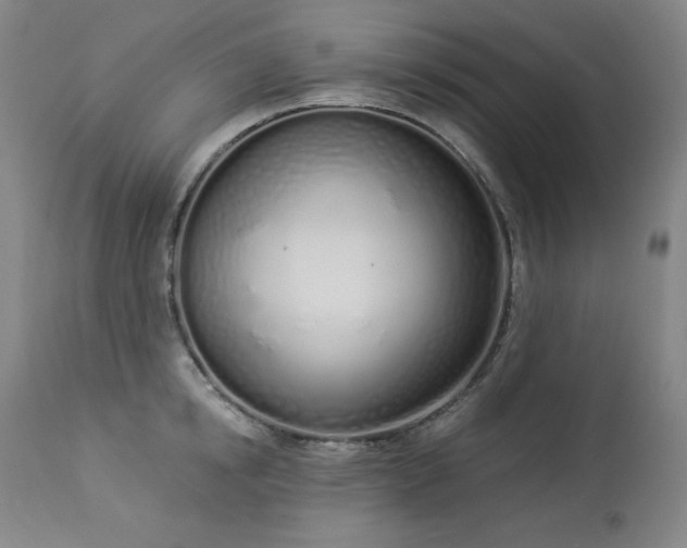 X0000114000854200910021314