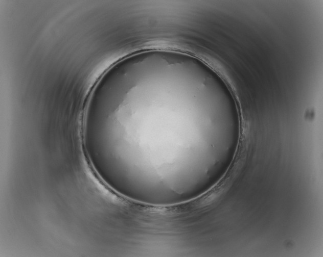 X0000114000855200910021314