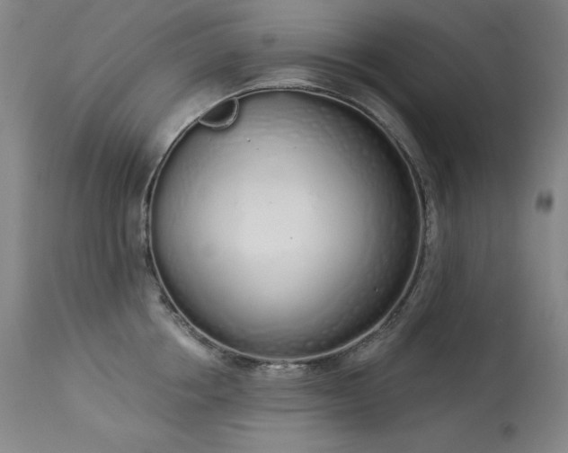 X0000114000858200910021314