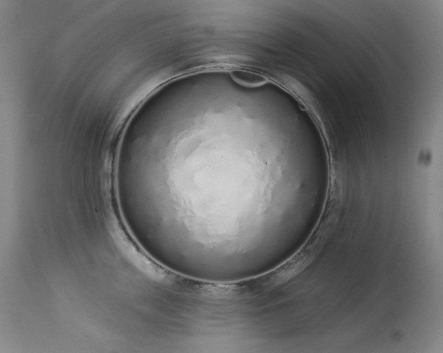 X0000114000859200910021314