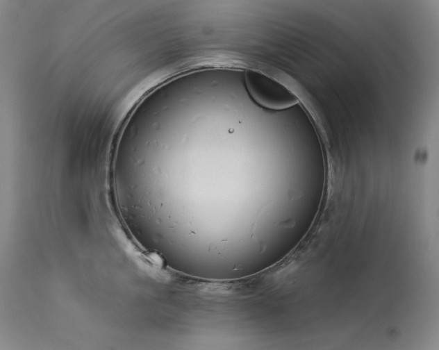 X0000114000861200910021314