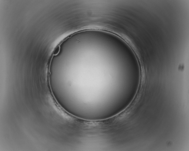 X0000114000862200910021314