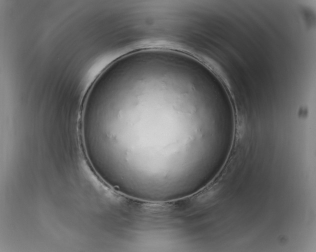 X0000114000863200910021314