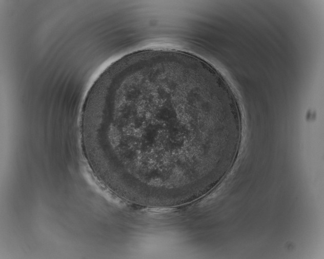 X0000114000864200910021314