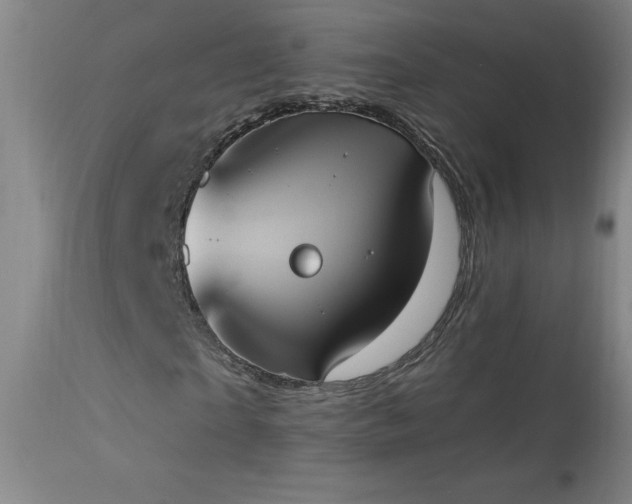 X0000114000865200910021314