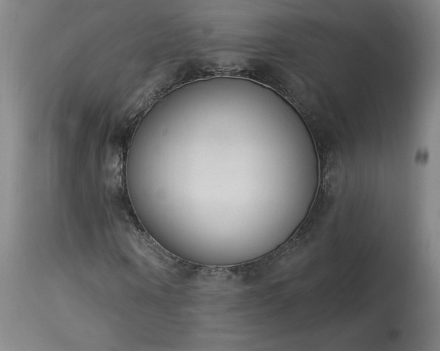 X0000114000866200910021314