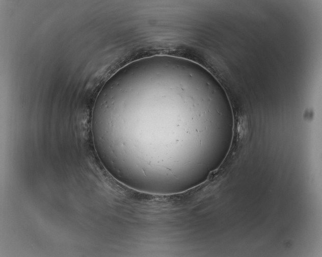 X0000114000867200910021314