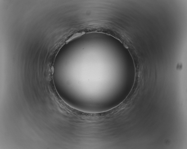 X0000114000868200910021314