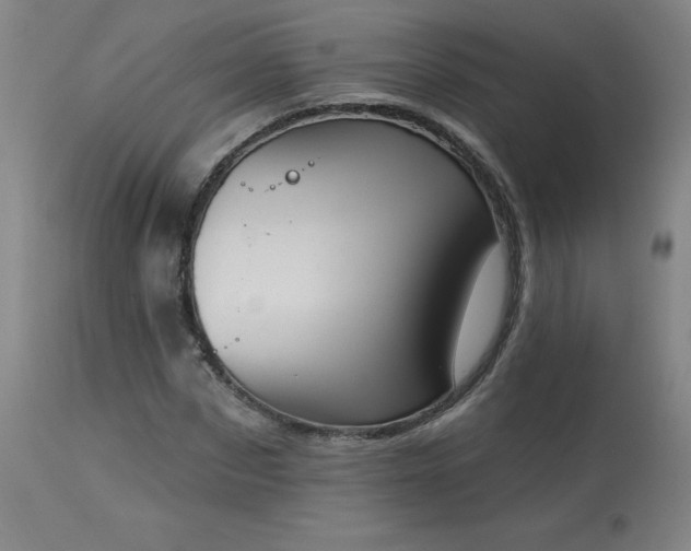 X0000114000873200910021314