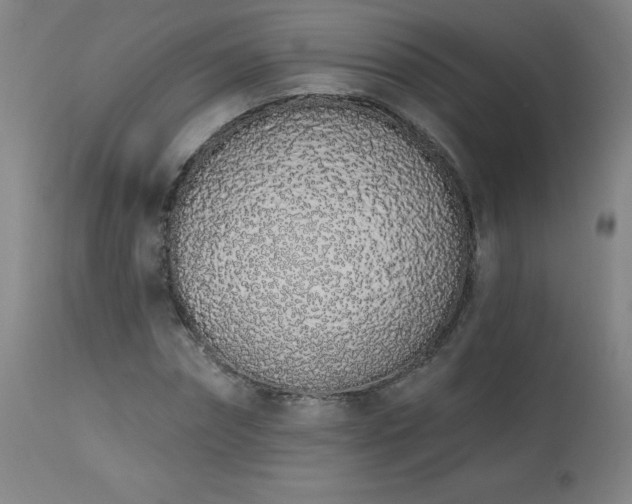 X0000114000874200910021314