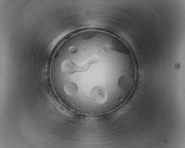 X0000114000875200910021314