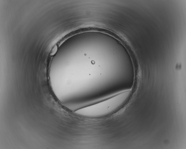 X0000114000877200910021314