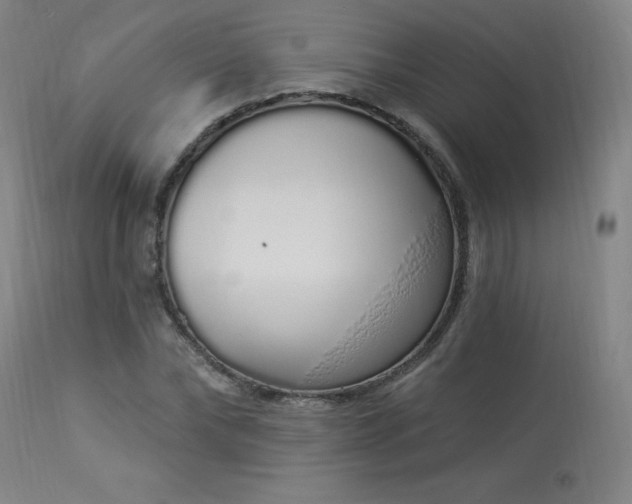 X0000114000878200910021314