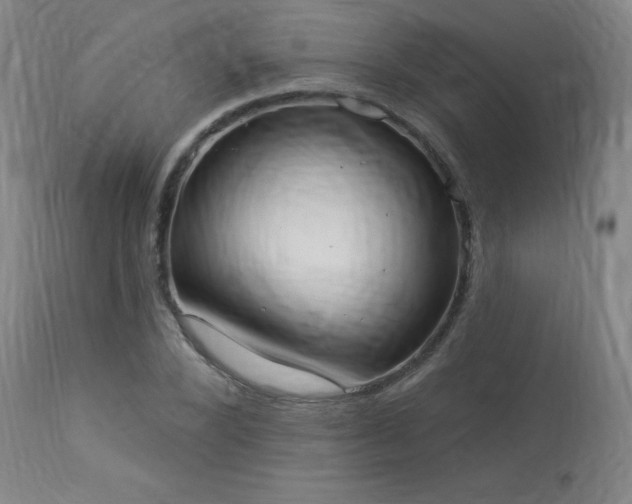 X0000114000880200910021314