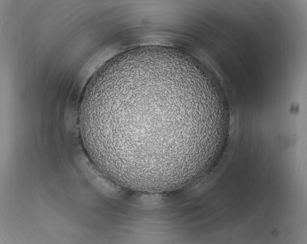 X0000114000882200910021313