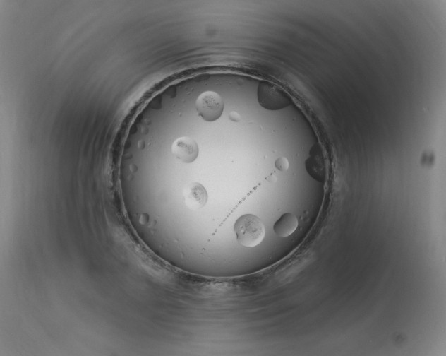 X0000114000883200910021313
