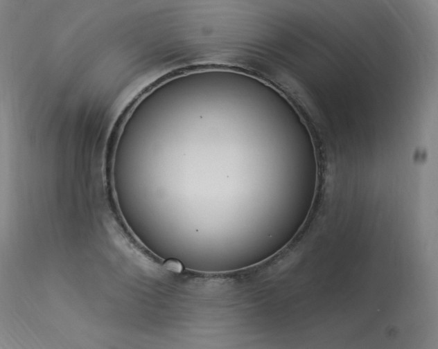 X0000114000884200910021313