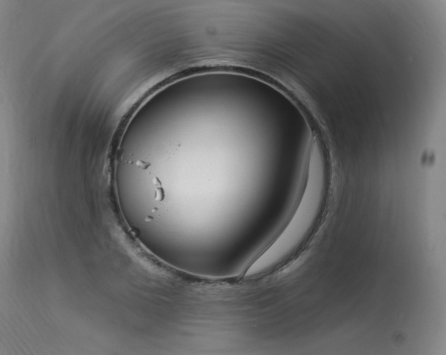 X0000114000885200910021313
