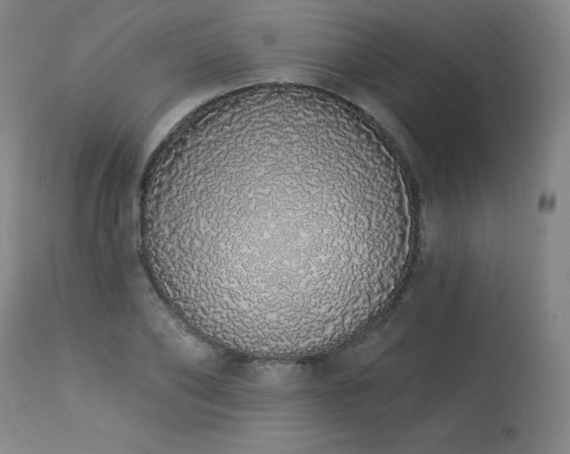 X0000114000886200910021313
