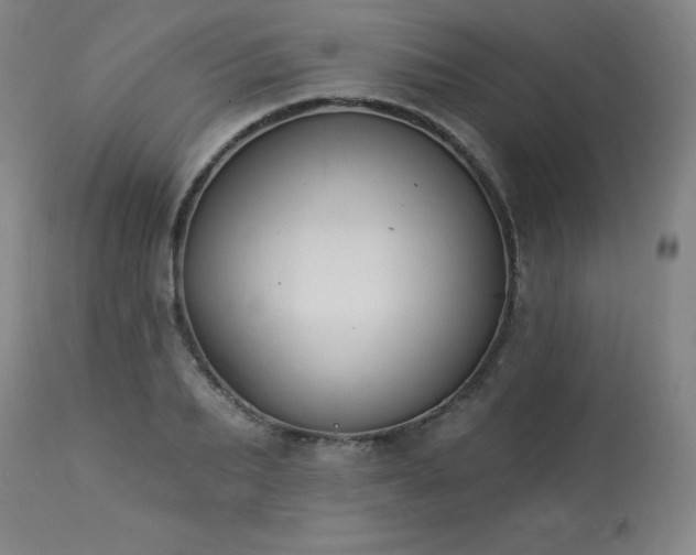 X0000114000887200910021313