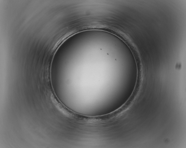 X0000114000889200910021313