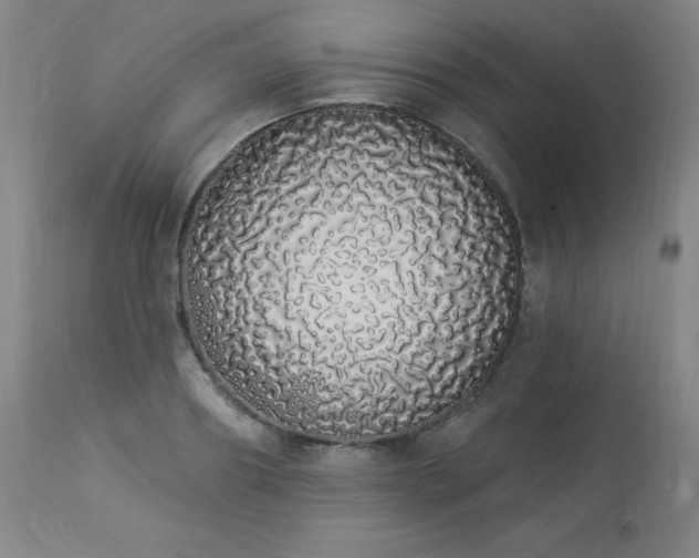 X0000114000890200910021313