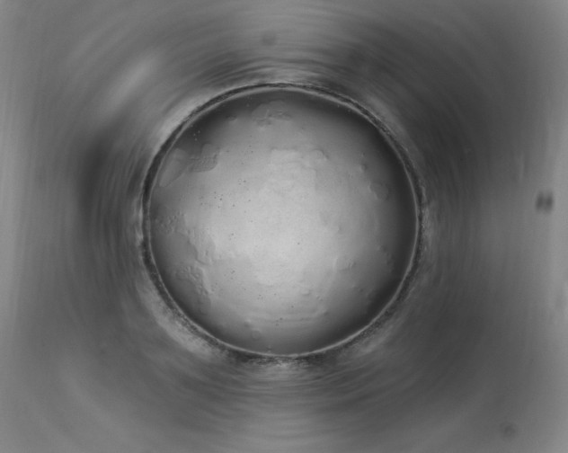 X0000114000891200910021313