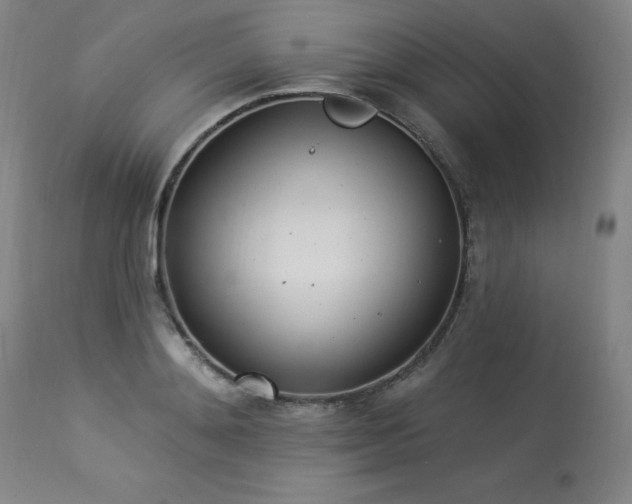 X0000114000892200910021313