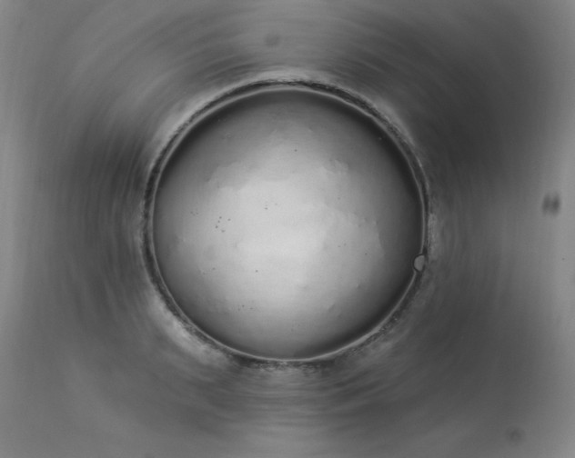 X0000114000895200910021313