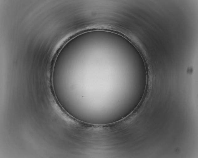 X0000114000896200910021313