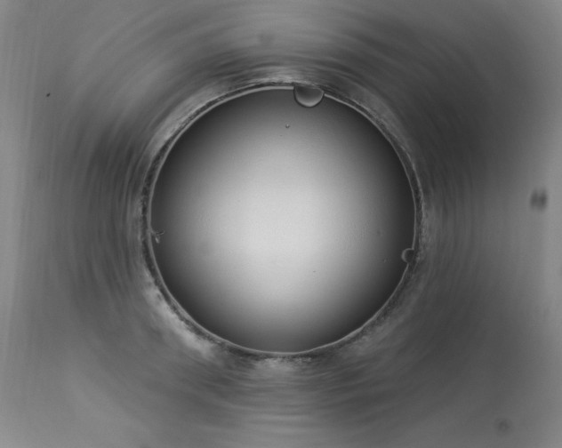 X0000114000898200910021313