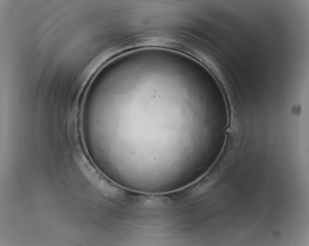 X0000114000899200910021313