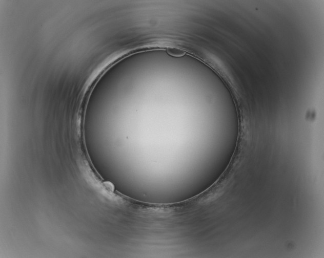 X0000114000900200910021313