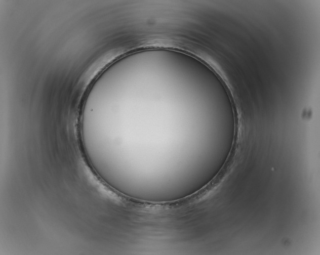 X0000114000901200910021313