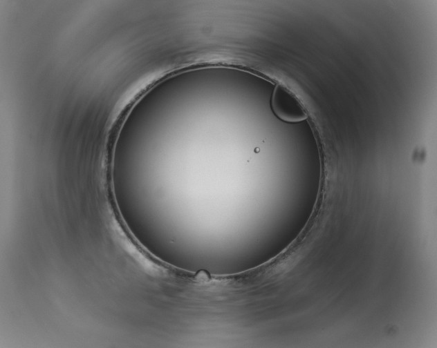 X0000114000902200910021313