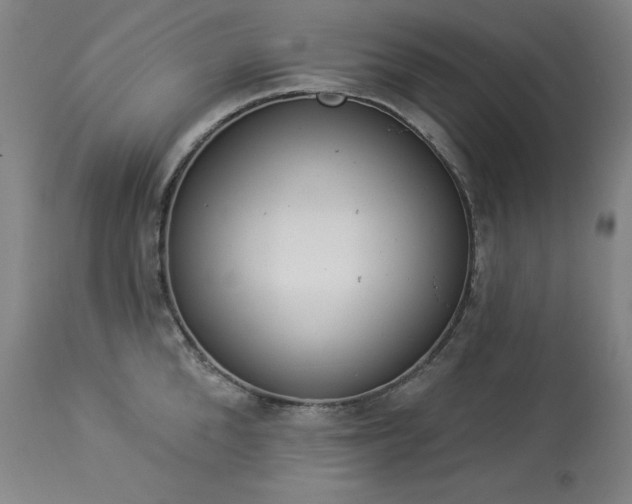 X0000114000904200910021313